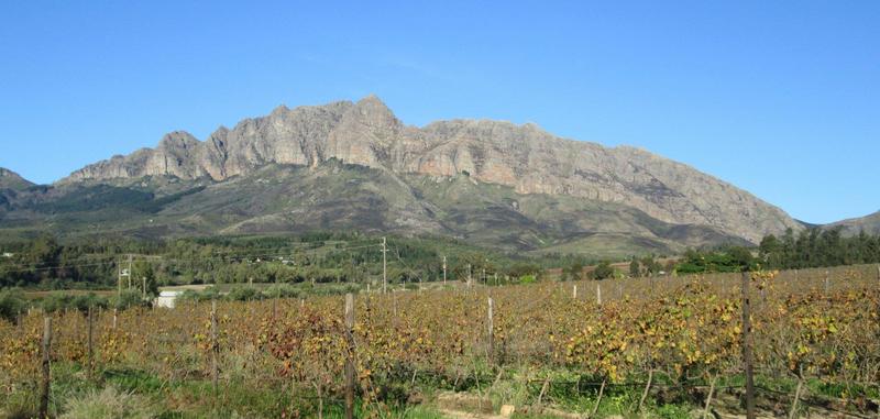 0 Bedroom Property for Sale in Wellington Western Cape